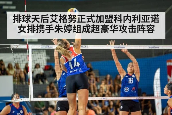 volleyball match action
